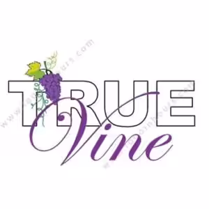 True Vine logo with purple script lettering and grape cluster